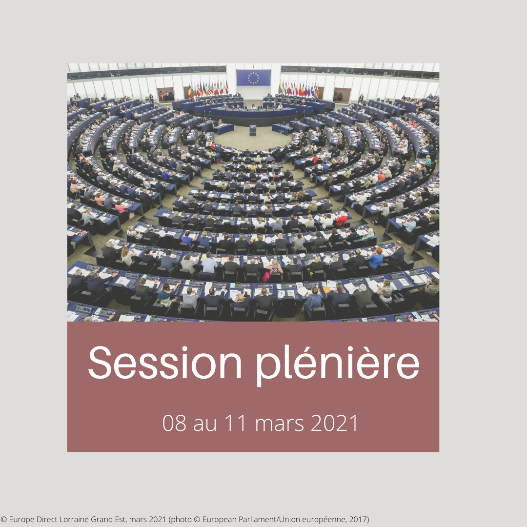 2021 03 Plénière
