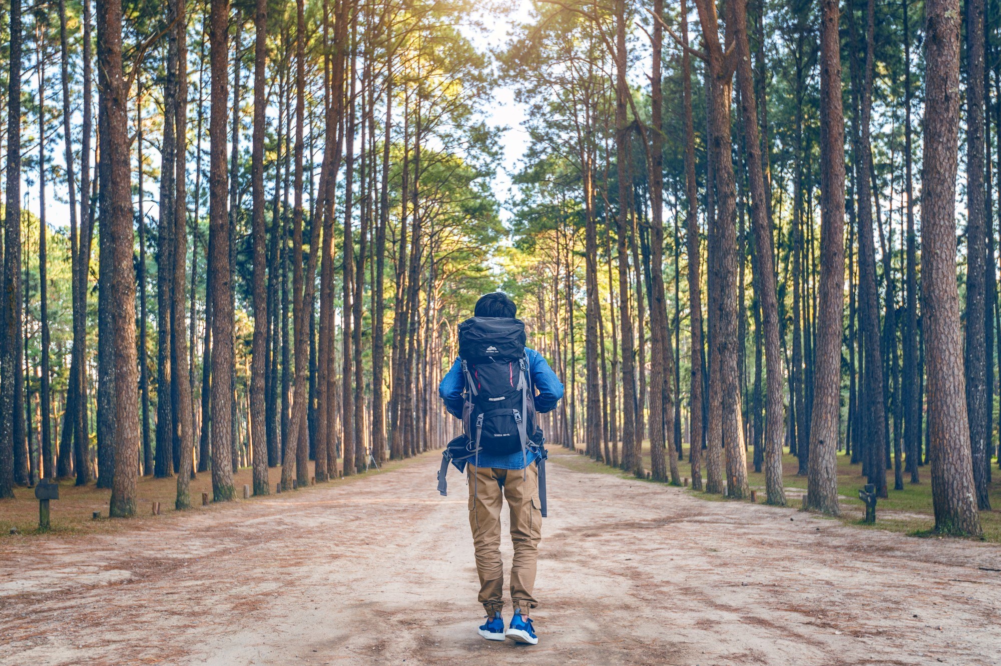 hiking man with backpack walking forest